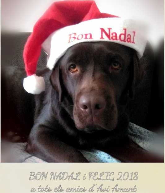 Bon Nadal