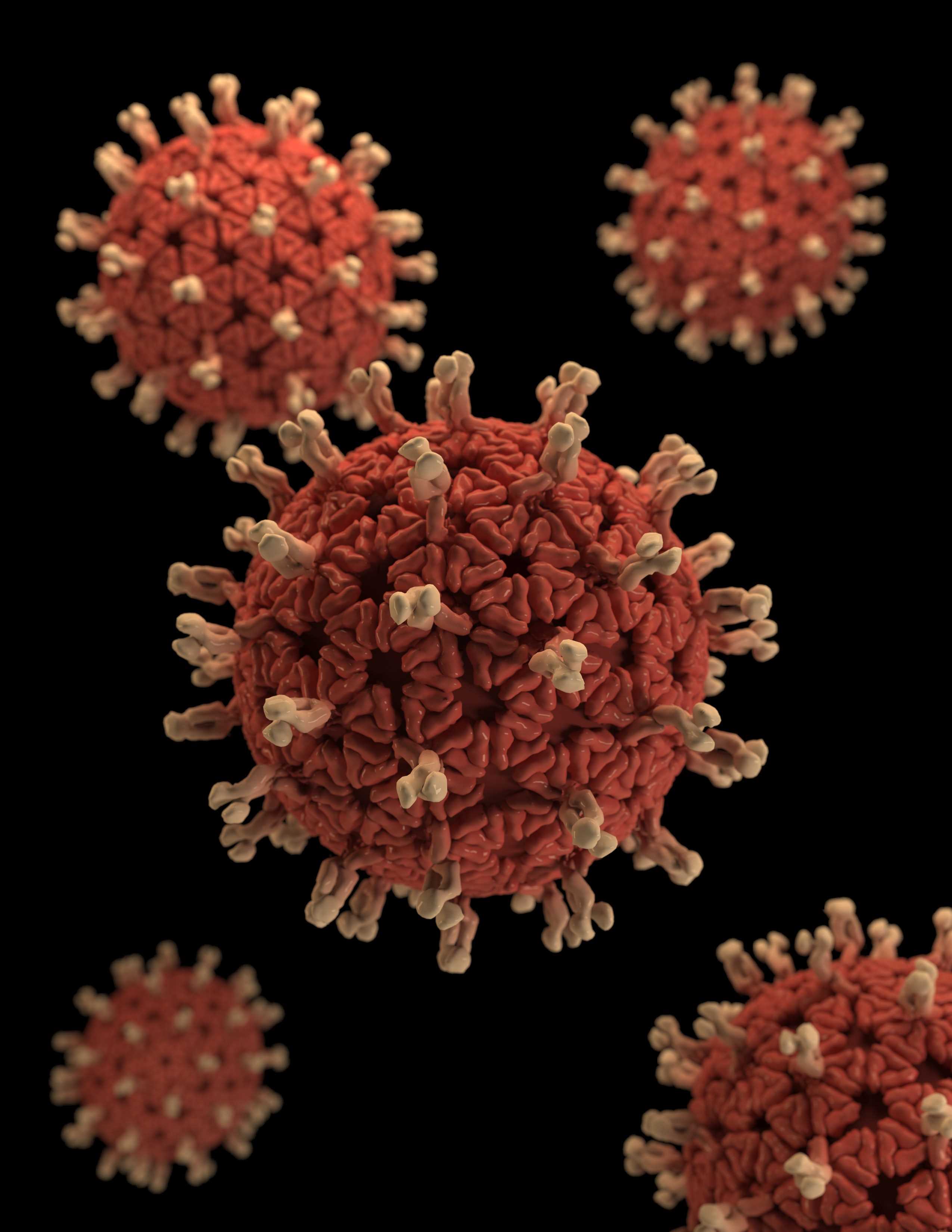 El Coronavirus SARS-CoV-2